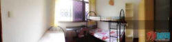 Uni Building (D15), Apartment #118184842